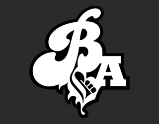 The BigAirBag is the common professional safety product in the freestyle parks around the world.